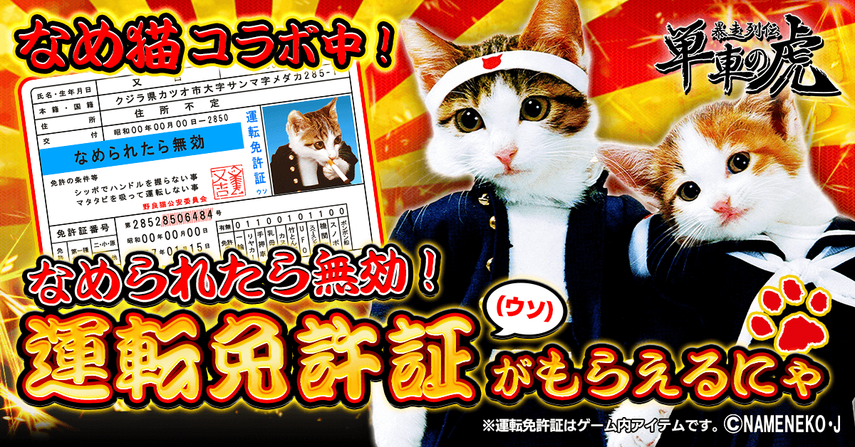 猫推し活！新たな猫関連イベントやグッズ紹介
